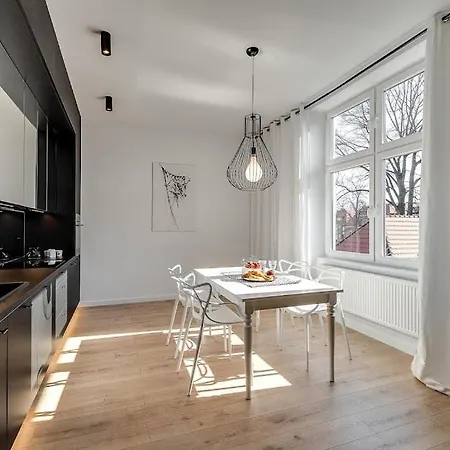 Jan Iii Sobieski - Luksusowy L Z Darmowym Prywatnym Parkingiem アパート *